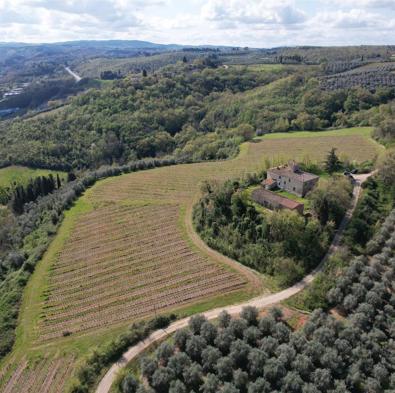TAHR_News_Florence_Hills_Competition_01
